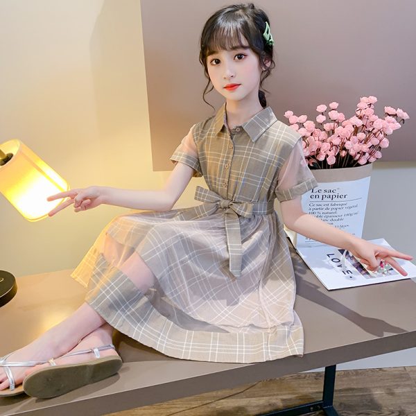 Girls Plaid Dress Summer Dress 2025 New Korean Version Children's Summer Mesh Skirt Girls Big Boy Foreign Style Long Skirt - Image 2