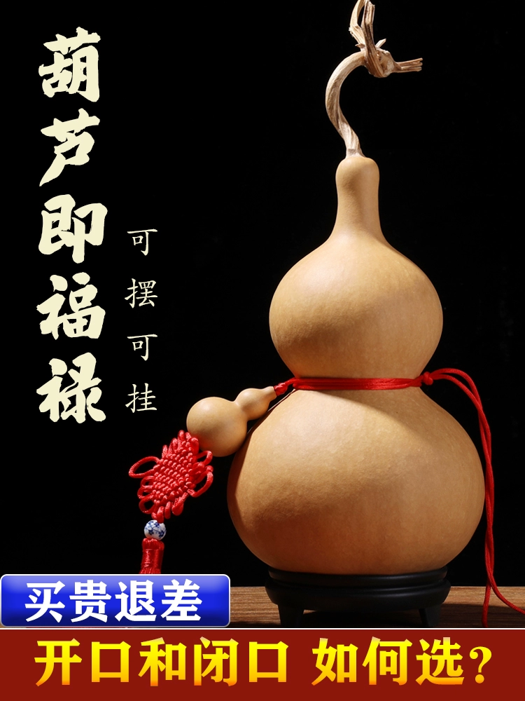 O1CN01Pl2jS91JzOFugWkLs_0-item_pic.webp