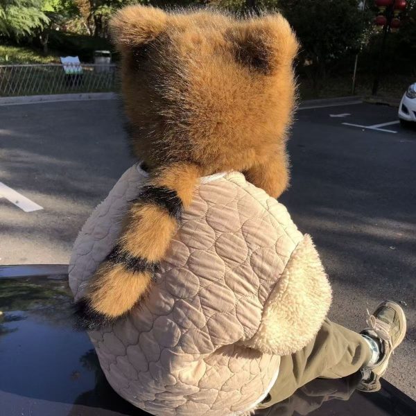 Winter Warm Children Adult Fur Hat Imitation American Raccoon Hair Lei Feng Tyrant Hat Little Raccoon Ear Protection Hat - 图片 3
